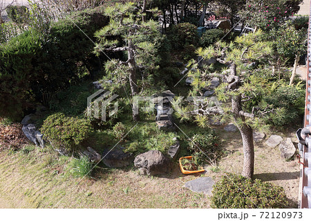 農家の庭　剪定中 72120973