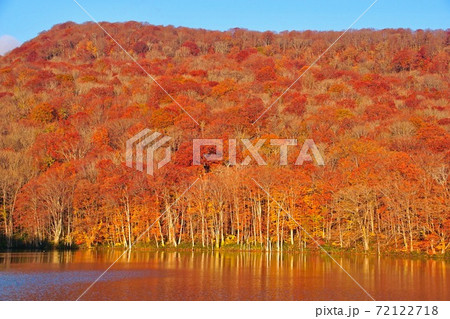 蔦沼の朝　十和田八幡平国立公園　青森県十和田市 72122718