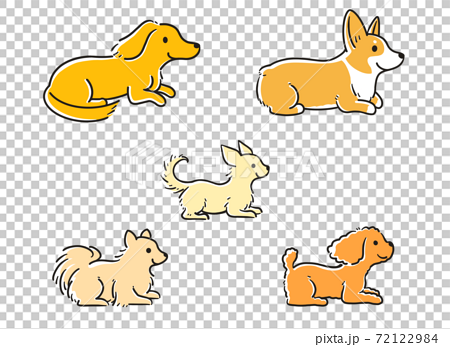 小型犬 伏せ イラスト 絵 愛犬 ペット 横向きのイラスト素材