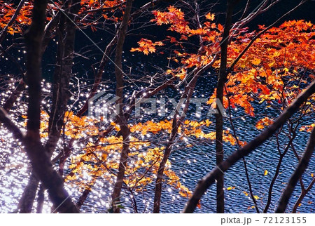 秋の蔦七沼めぐりハイキング　菅沼　十和田八幡平国立公園　青森県十和田市 72123155
