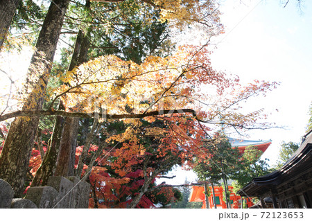秋の高野山 秋の高野山 72123653