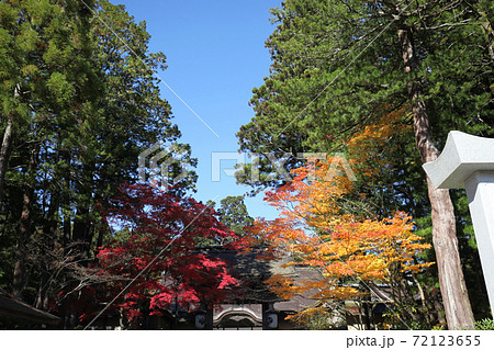 秋の高野山 秋の高野山 72123655