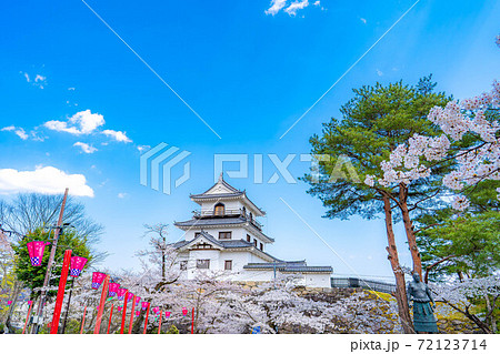 春の白石城と桜 【宮城県】 春の白石城と桜 【宮城県】 72123714