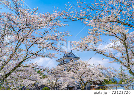 春の白石城と桜 【宮城県】 春の白石城と桜 【宮城県】 72123720