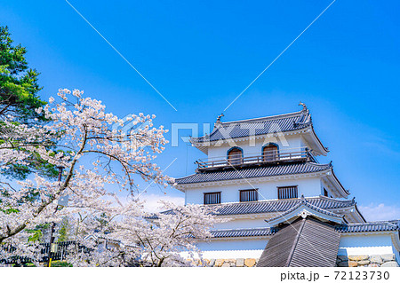 春の白石城と桜 【宮城県】 春の白石城と桜 【宮城県】 72123730