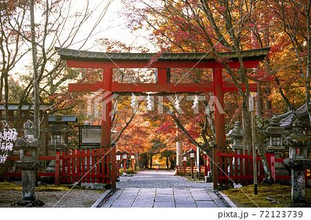 大原野神社の紅葉 72123739