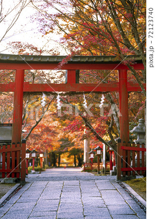 大原野神社の紅葉 72123740
