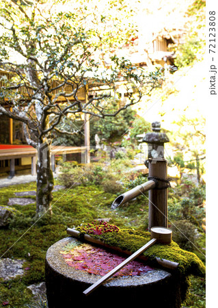 楊谷寺の花手水 楊谷寺の花手水 72123808