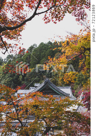 楊谷寺の紅葉 72123869