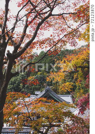 楊谷寺の紅葉 72123870