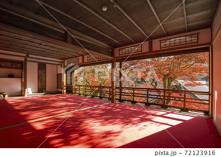 楊谷寺の紅葉 楊谷寺の紅葉 72123916