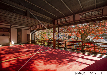 楊谷寺の紅葉 楊谷寺の紅葉 72123918