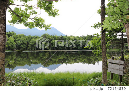 北海道、知床五胡遊歩道、世界遺産、三湖 北海道、知床五胡遊歩道、世界遺産、三湖 72124839