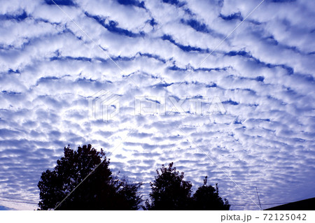 秋　鱗雲　波状雲 72125042