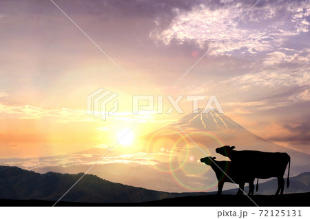 丑年年賀状-牛のシルエットと富士山と初日の出 72125131
