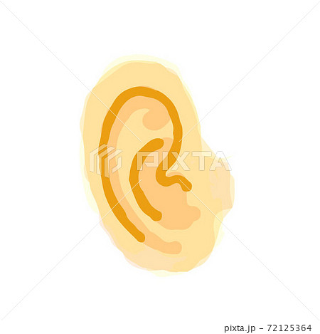 Cute Ear; Watercolor style icon, Hand drawn vector illustration like watercolor 72125364