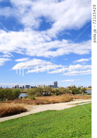 冬の枯れた荻原のある江戸川河川敷風景 冬の枯れた荻原のある江戸川河川敷風景 72125429