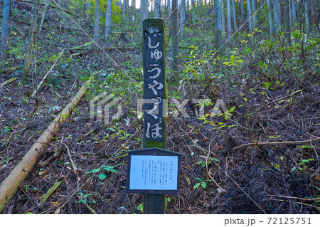 東京都青梅市 御岳山参道の各所につけられた観光名所看板(じゅうやっくぼ) 東京都青梅市 御岳山参道の各所につけられた観光名所看板(じゅうやっくぼ) 72125751