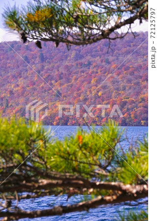 十和田湖の紅葉 十和田八幡平国立公園 子の口付近 青森県十和田市 十和田湖の紅葉 十和田八幡平国立公園 子の口付近 青森県十和田市 72125797