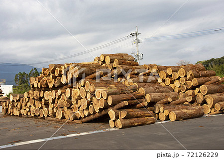 スギの材木置き場 スギの材木置き場 72126229