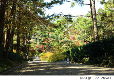 秋の丹波亀山城址 秋の丹波亀山城址 72126584