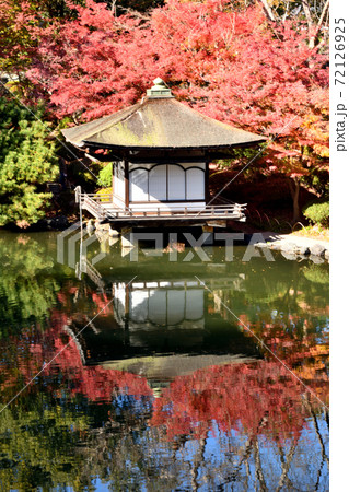 和歌山城　紅葉渓庭園の紅葉 72126925