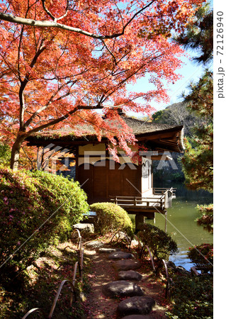 和歌山城 紅葉渓庭園の紅葉 和歌山城 紅葉渓庭園の紅葉 72126940