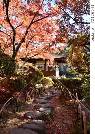 和歌山城 紅葉渓庭園の紅葉 和歌山城 紅葉渓庭園の紅葉 72126941