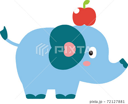 ゾウ 72127881