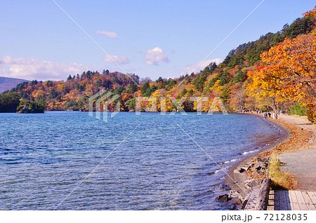 十和田湖の紅葉　十和田八幡平国立公園　休屋付近御前ヶ浜　青森県十和田市 72128035