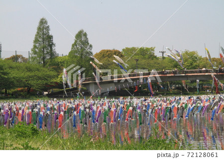 群馬県館林市つつじヶ岡公園の鯉のぼり祭り 群馬県館林市つつじヶ岡公園の鯉のぼり祭り 72128061
