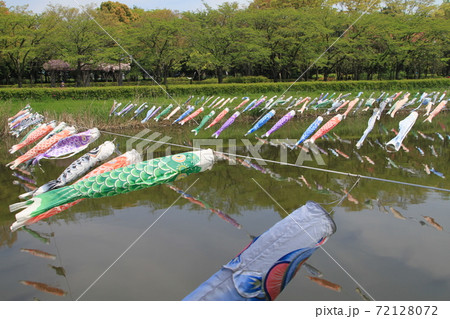群馬県館林市つつじヶ岡公園の鯉のぼり祭り 群馬県館林市つつじヶ岡公園の鯉のぼり祭り 72128072