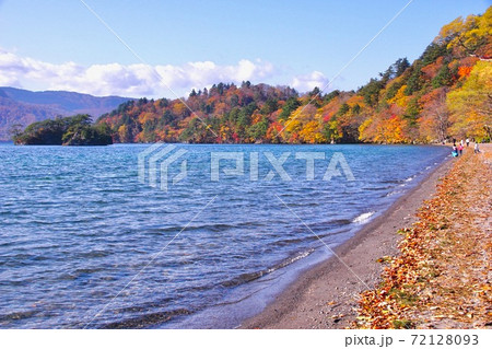 十和田湖の紅葉　十和田八幡平国立公園　休屋付近御前ヶ浜　青森県十和田市 72128093