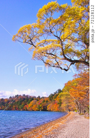 十和田湖の紅葉 十和田八幡平国立公園 休屋付近御前ヶ浜 青森県十和田市 十和田湖の紅葉 十和田八幡平国立公園 休屋付近御前ヶ浜 青森県十和田市 72128112