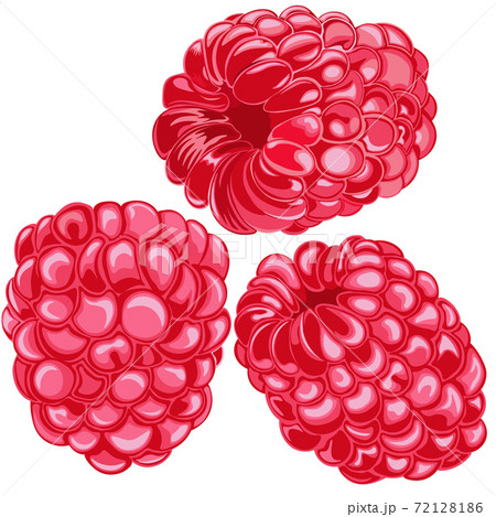 Vector ,clipart. Raspberry on white background .Art & Illustration.	 72128186