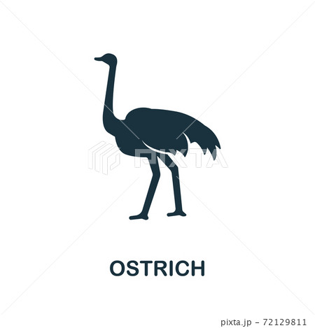 Ostrich icon from australia collection. Simple line Ostrich icon for templates, web design and infographics 72129811