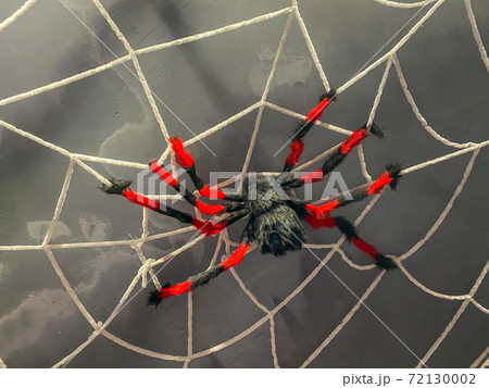 Halloween toy- creepy fake spider on the net Halloween toy- creepy fake spider on the net 72130002