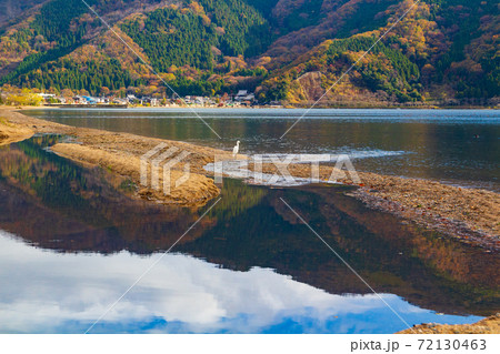 奥琵琶湖の風景と白鷺 72130463
