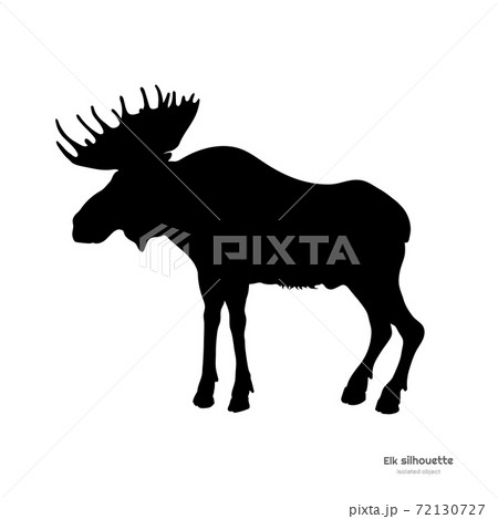 Black silhouette of elk. Isolated image of deer on white background. Wild animal of North America Black silhouette of elk. Isolated image of deer on white background. Wild animal of North America 72130727