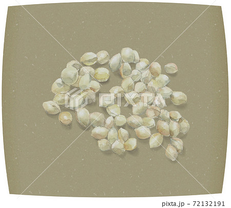 【手描き水彩】和紙にのせた銀杏（ギンナン）実 素材  72132191