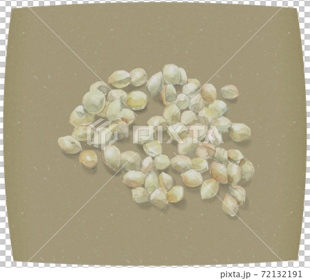 【手描き水彩】和紙にのせた銀杏（ギンナン）実 素材  72132191