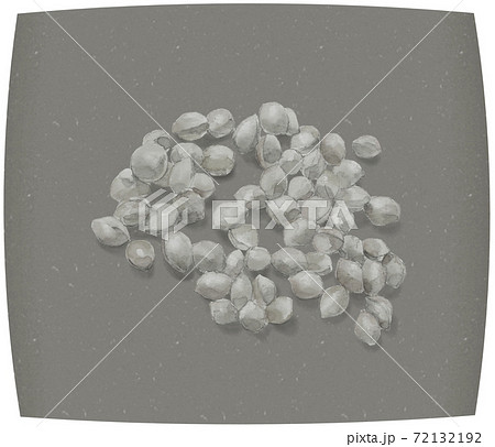 【水墨画風手描き水彩】和紙にのせた銀杏（ギンナン）実 素材 モノトーン  72132192