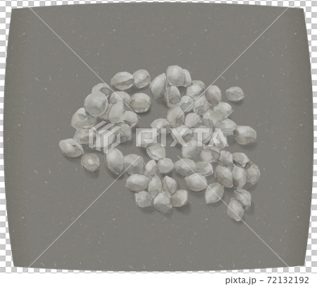 【水墨画風手描き水彩】和紙にのせた銀杏（ギンナン）実 素材 モノトーン  72132192