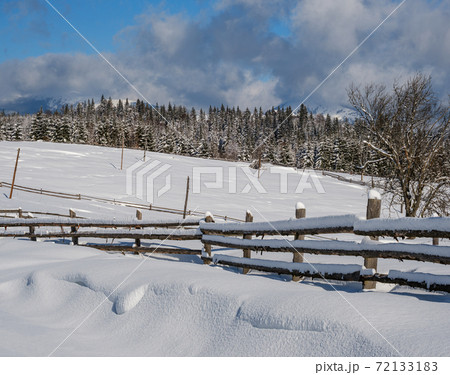 Alpine mountain snowy winter fir forest and snow drifts near wood fence on secondary countryside road wayside Alpine mountain snowy winter fir forest and snow drifts near wood fence on secondary countryside road wayside 72133183