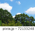 晴れの日の夏山と青空と白雲の写真 72133248