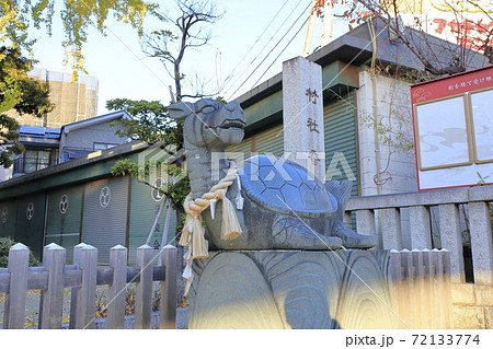 秋の亀有香取神社　狛犬（狛亀）　東京都葛飾区 72133774