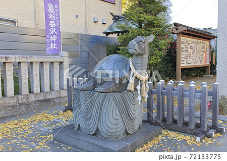 秋の亀有香取神社　狛犬（狛亀）　東京都葛飾区 72133775