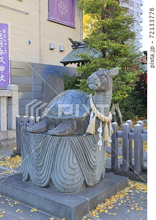 秋の亀有香取神社　狛犬（狛亀）　東京都葛飾区 72133776