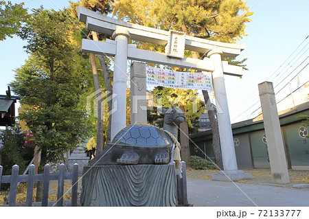 秋の亀有香取神社　狛犬（狛亀）　東京都葛飾区 72133777