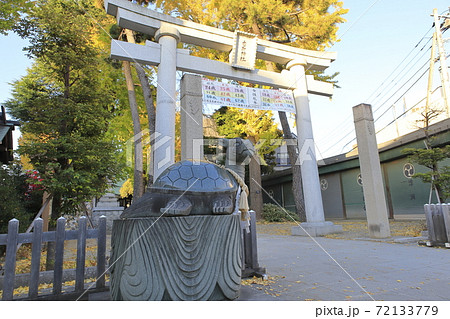 秋の亀有香取神社　狛犬（狛亀）　東京都葛飾区 72133779